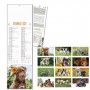 Calendario Olandese Animali "Cani e Gatti"